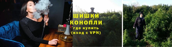 a pvp Алексеевка