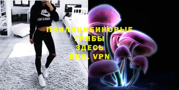 a pvp Алексеевка